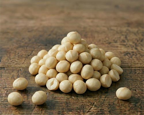 Macadamia